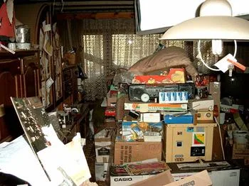 messy house in psl
