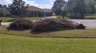 yard waste removal in port st lucie, Fl